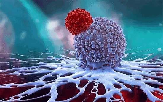 央视视频 | NK免疫细胞：人体神秘的健康密码