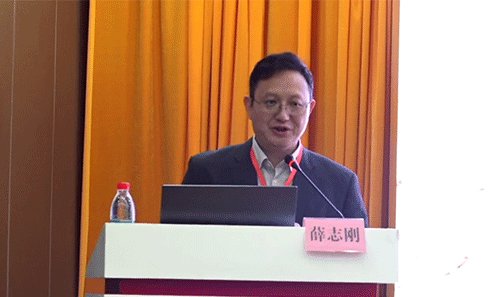薛志刚教授受邀出席首届湖湘孕产健康高峰论坛