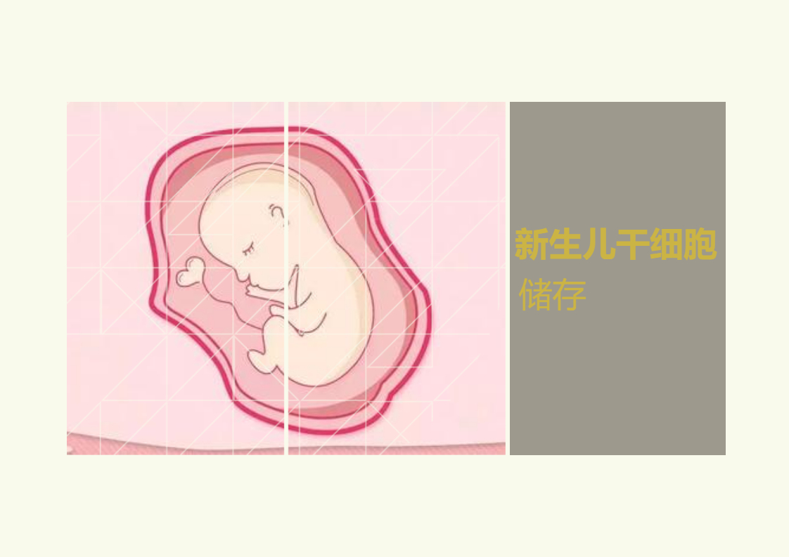 新生儿干细胞储存是怎么个流程？